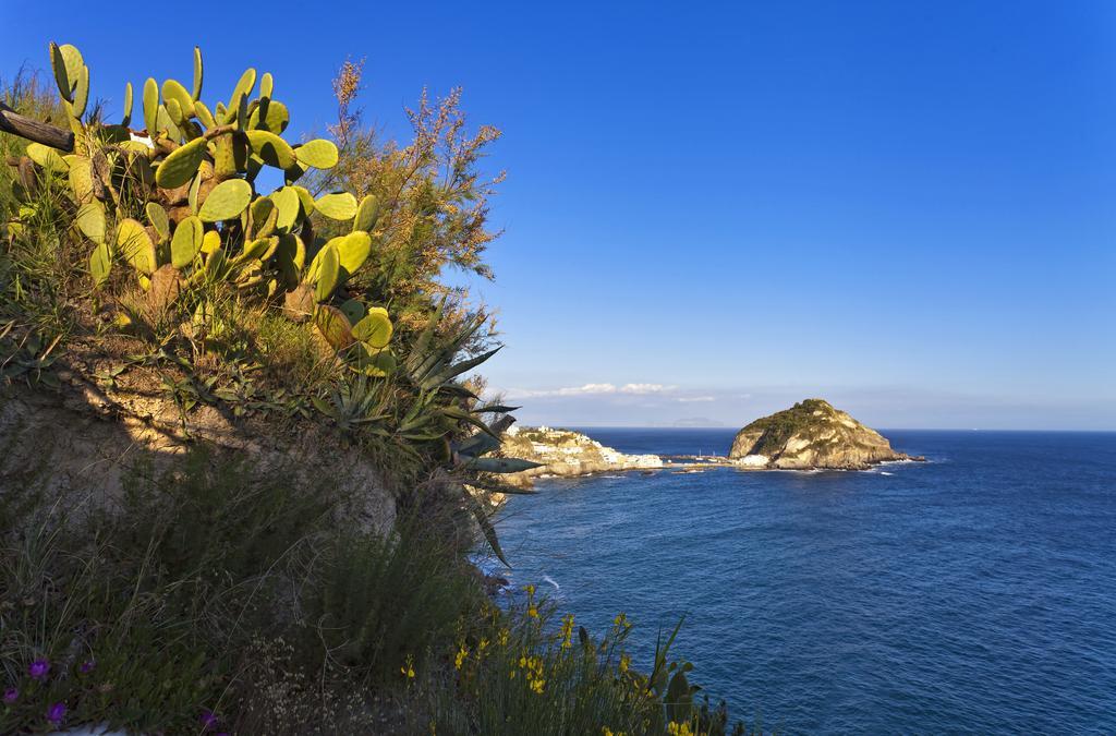 Costa Del Capitano Seaside Villas Sant'Angelo (Isola d'Ischia) Exterior foto